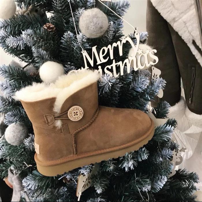 2025112816469522 180